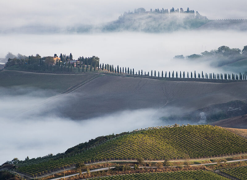 A Benvenuto Brunello tornano protagonisti i produttori in persona