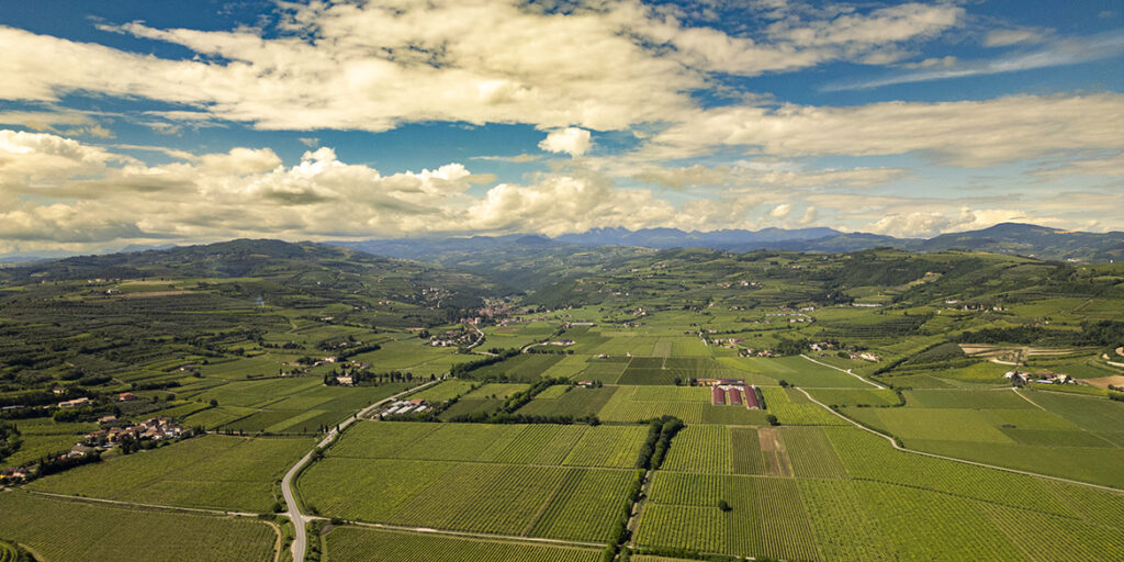 Vignaioli Valle di Mezzane: tutti uniti per la sottozona