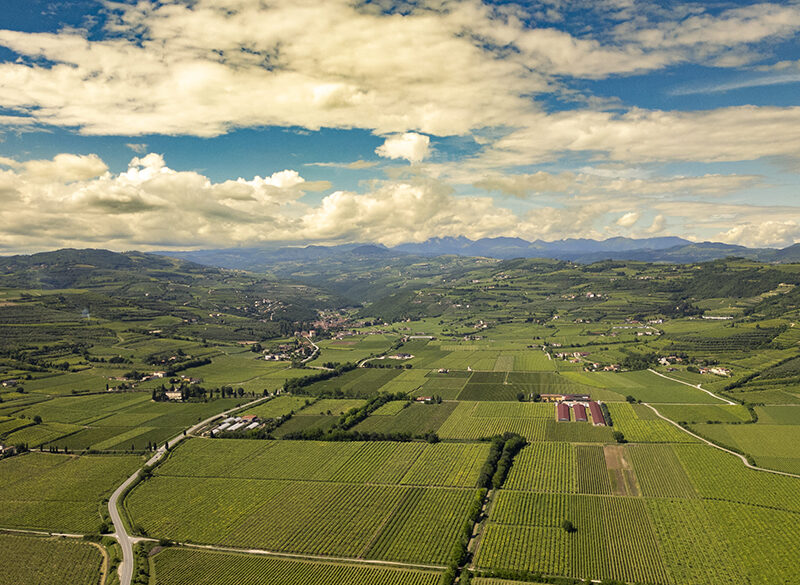 Vignaioli Valle di Mezzane: tutti uniti per la sottozona
