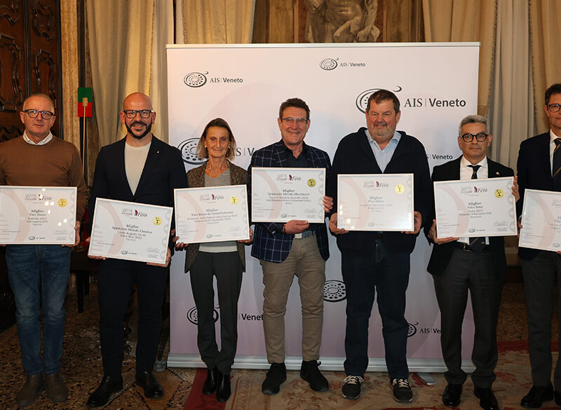 I vini migliori del Veneto secondo la guida Vinetia 2025