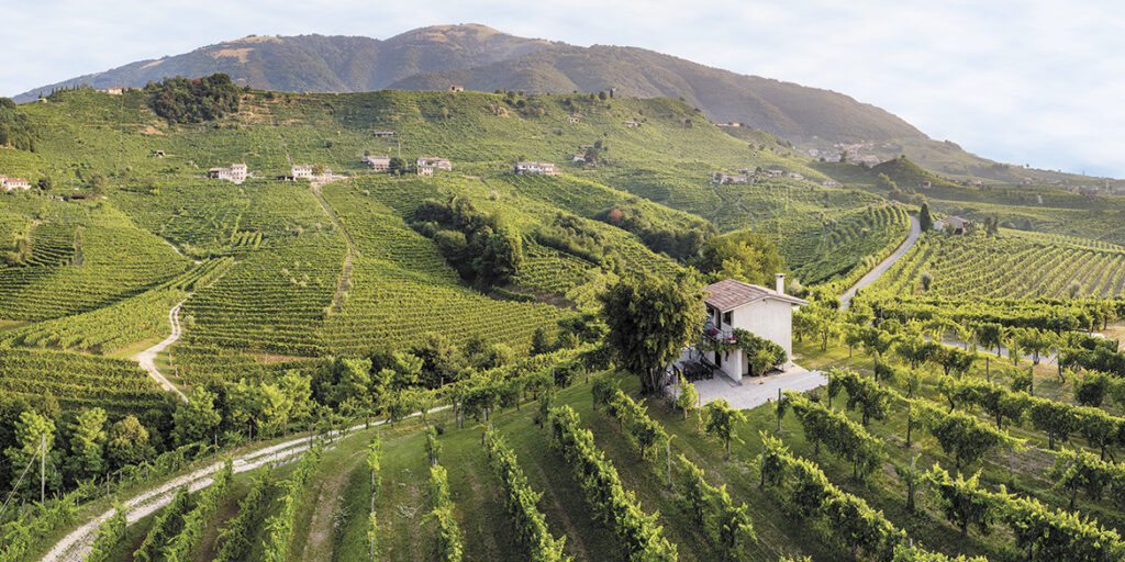 50 anni di storia del vino: Villa Sandi, protagonisti del successo globale del Prosecco
