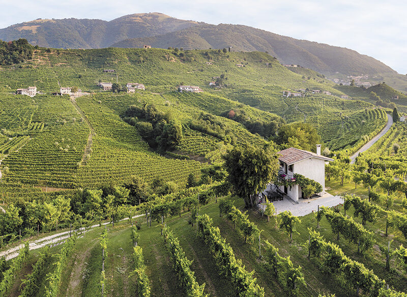 50 anni di storia del vino: Villa Sandi, protagonisti del successo globale del Prosecco