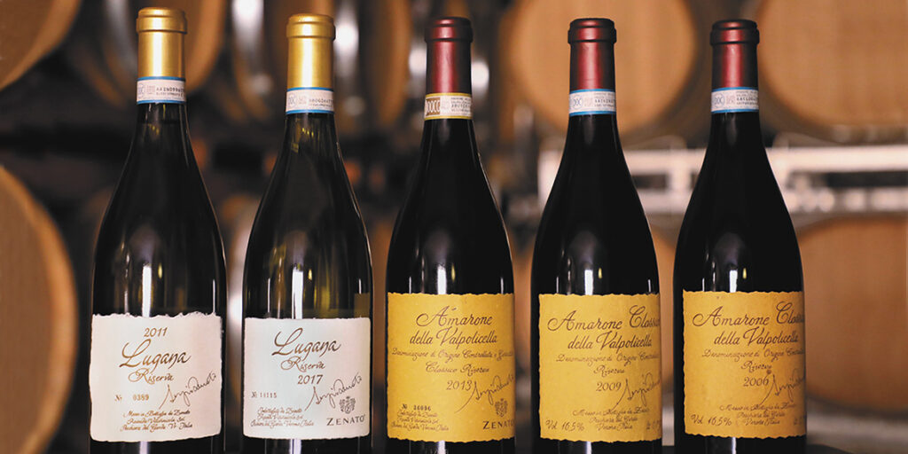 50 anni di storia del vino: Zenato, Lugana e Amarone due capitoli della stessa storia