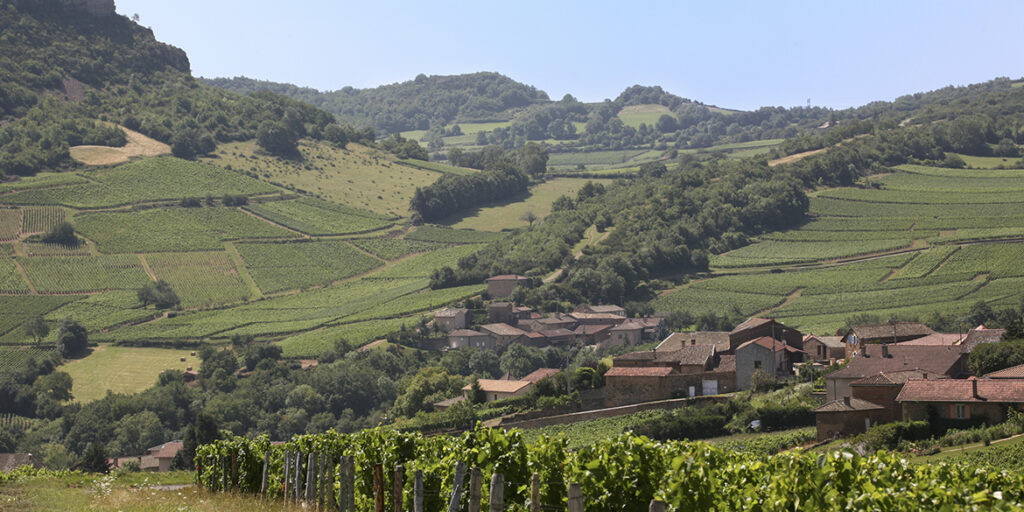 Crémant de Bourgogne, l’anima pétillante della regione. Quarta e ultima tappa
