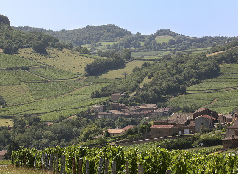 Crémant de Bourgogne, l’anima pétillante della regione. Quarta e ultima tappa