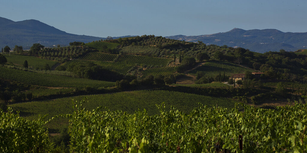 Montalcino, l’effetto “versante” sui tre cru di Val di Suga