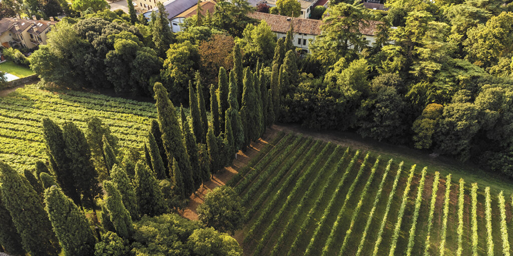Collis Heritage: uniti per viaggiare lontano