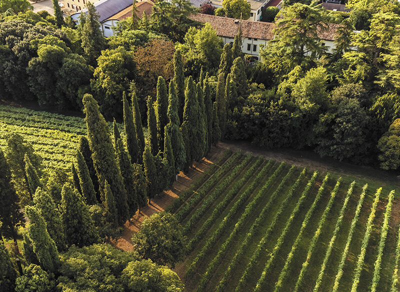 Collis Heritage: uniti per viaggiare lontano
