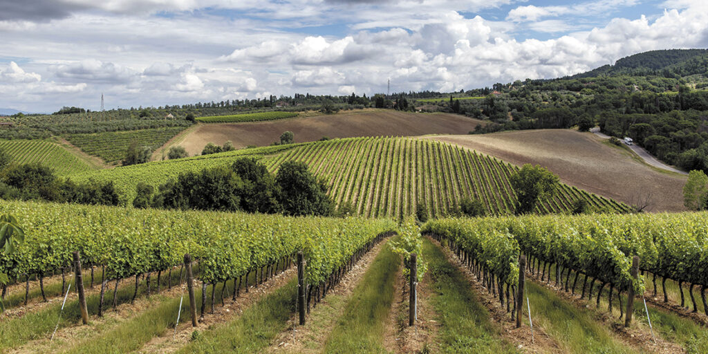 Il vino che sarà: sostenibilità, tecnologia ed enoturismo secondo Albiera Antinori