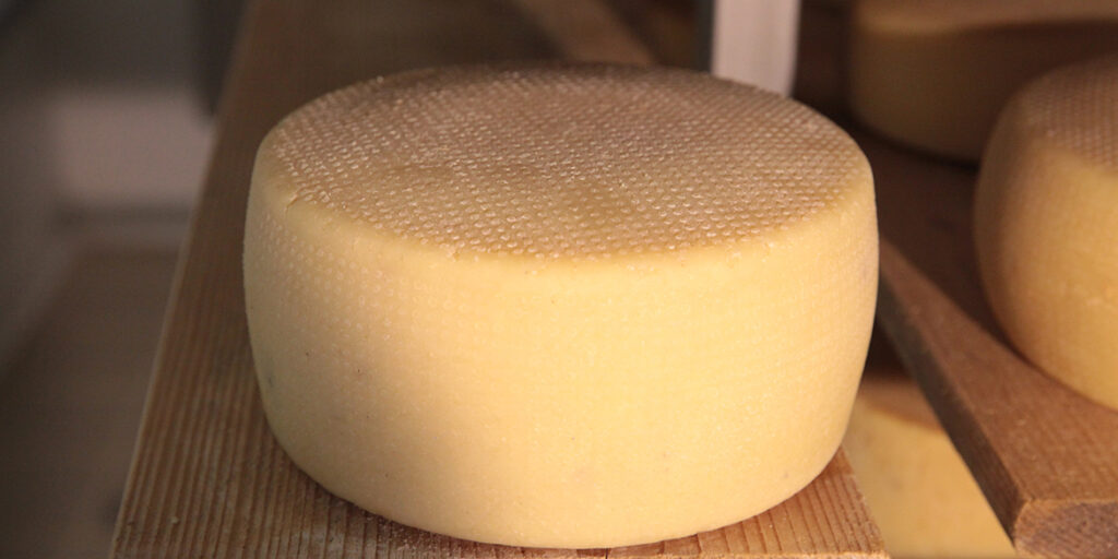 Formaggi d’Italia: pecorino di Norcia, eccellenza orgogliosamente umbra  