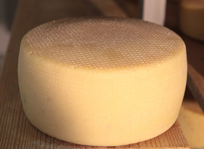 Formaggi d’Italia: pecorino di Norcia, eccellenza orgogliosamente umbra  