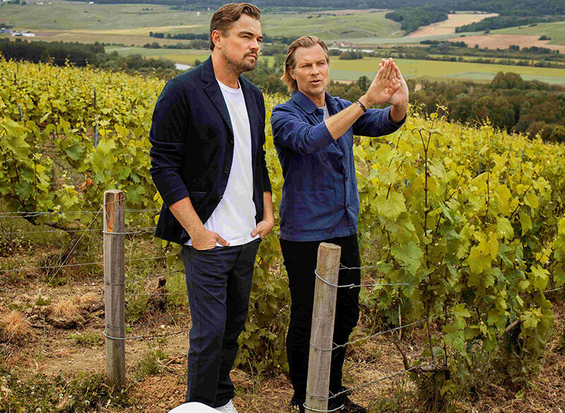 Au nom de la Terre: Champagne Telmont e la Réserve de la Terre