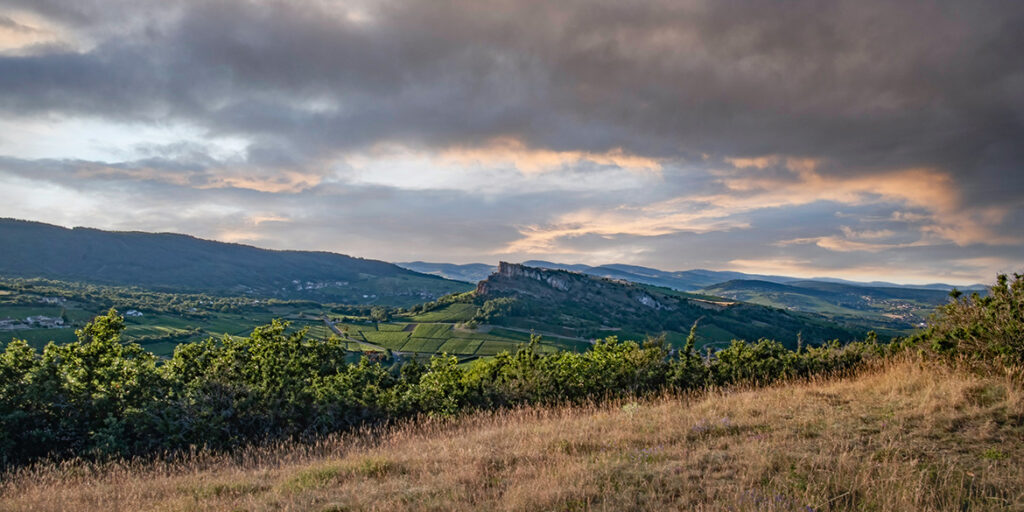 Mâconnais: quattro nuovi Premier Cru a partire dalla vendemmia 2024