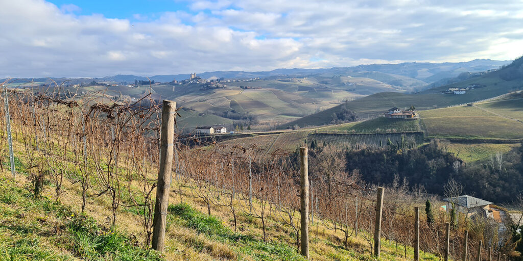 Nebbiolo Prima: Barolo 2021 eleganti e da attendere, Barbaresco 2022 espressivi e complessi