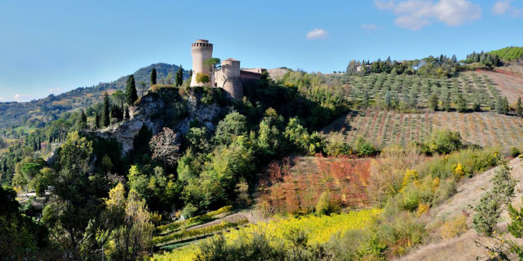 Nelle terre di Romagna spazio alle sottozone del Sangiovese