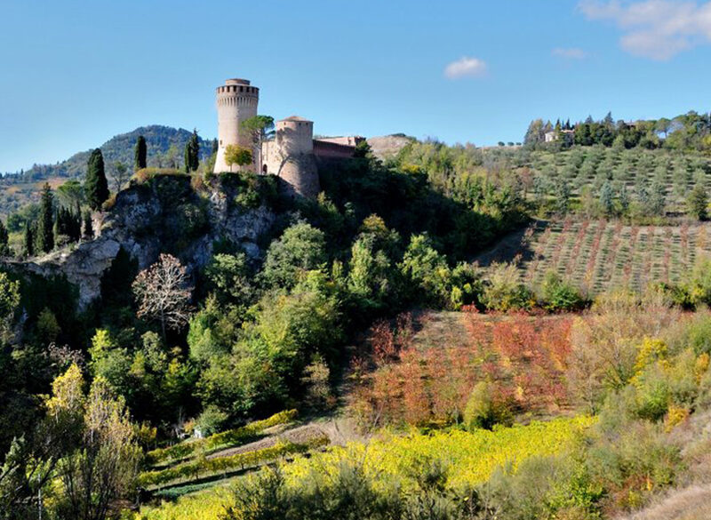 Nelle terre di Romagna spazio alle sottozone del Sangiovese