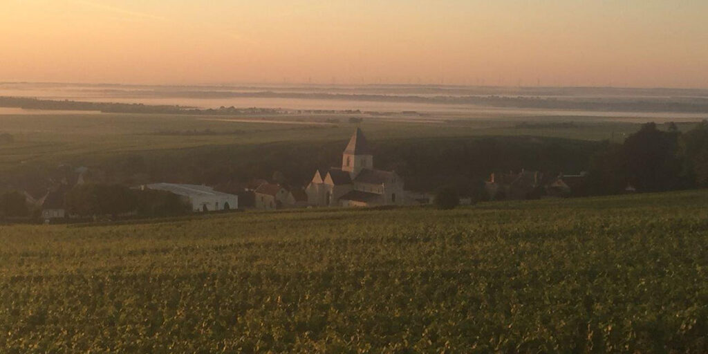 Champagne Gonet Sulcova: quarant’anni e quattro generazioni alla ricerca delle migliori espressioni di Mesnil e Montgueux