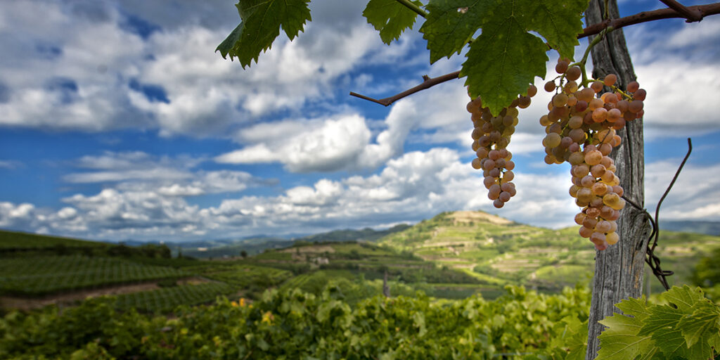 Le strategie del Soave per potenziare il rilancio