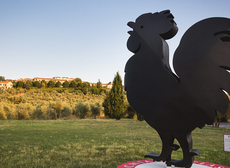 Chianti Classico Collection 2025: il Gallo Nero conferma il trend positivo
