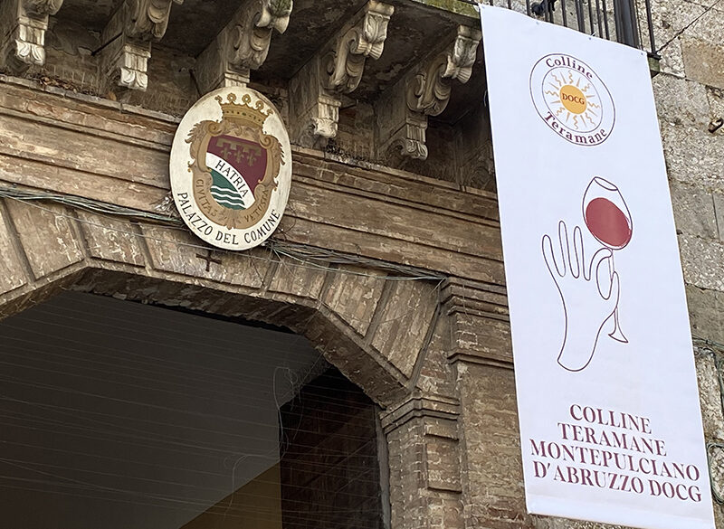 Focus Colline Teramane 2025: il Montepulciano e le altre anime del territorio