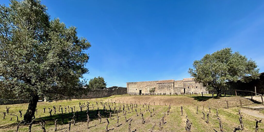 Feudi di San Gregorio: nuovo progetto vinicolo nel Parco archeologico di Pompei