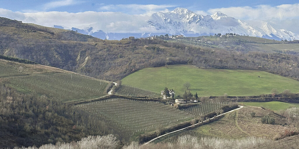 Il Trebbiano d’Abruzzo sta voltando pagina