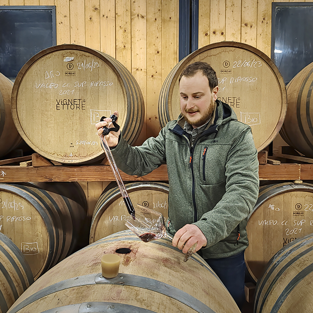 Monografia Vino giovani produttori