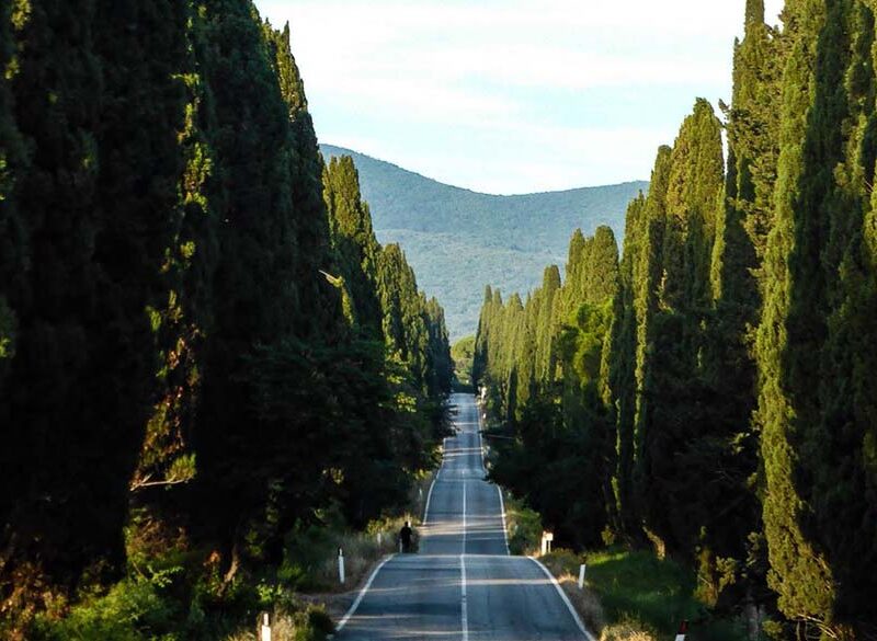 Tenuta San Guido e CNR: un accordo per la tutela del Viale dei Cipressi di Bolgheri