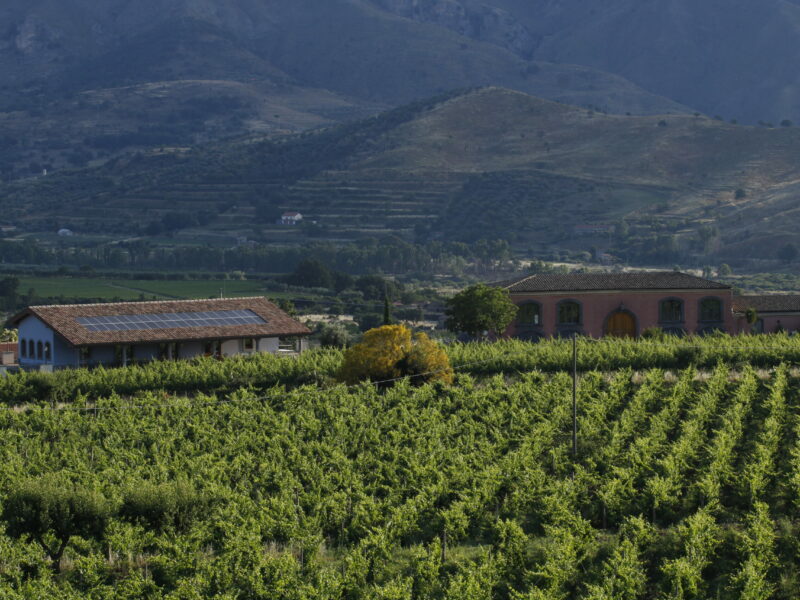 Marchesi Frescobaldi sull’Etna con Tenuta delle Terre Nere