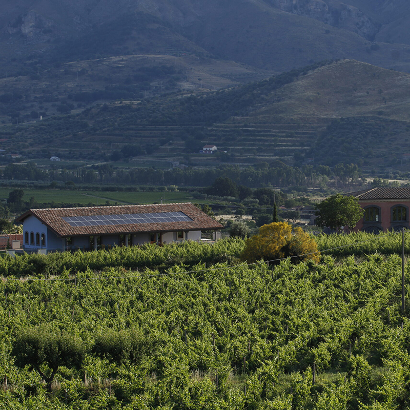 Marchesi Frescobaldi sull’Etna con Tenuta delle Terre Nere