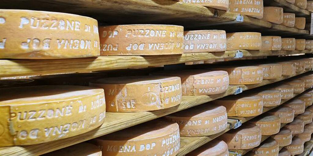 Formaggi d’Italia: l’avvolgente intensità del puzzone di Moena