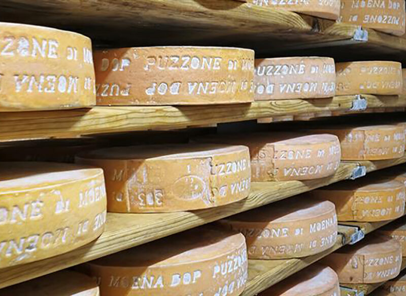 Formaggi d’Italia: l’avvolgente intensità del puzzone di Moena