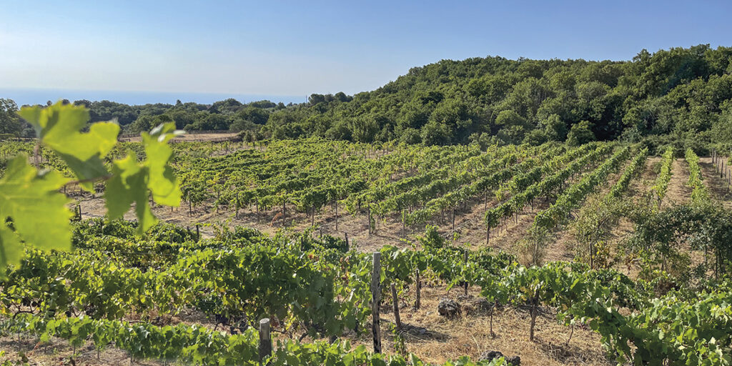 Tommasi Family Estates: Ammura e l’energia vitale dell’Etna