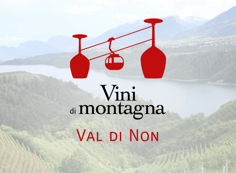 Vini di Montagna (11): la Val di Non