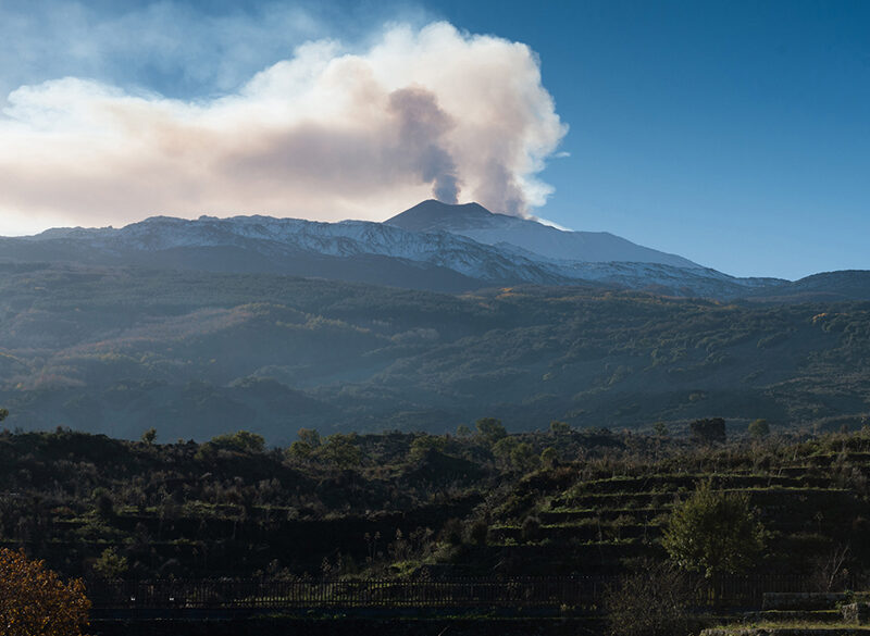 La Sicilia del vino è a una nuova svolta?