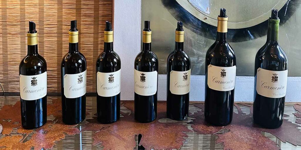 Storia (e la prima verticale) del Carménère San Leonardo