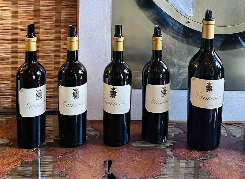 Storia (e la prima verticale) del Carménère San Leonardo