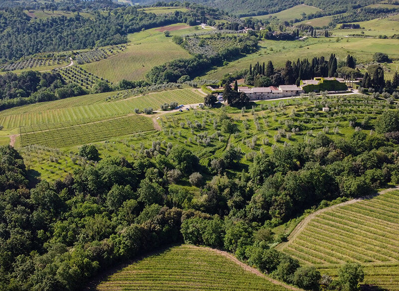 Nelle vigne della Tenuta Greppo si cambia tutto perché nulla cambi