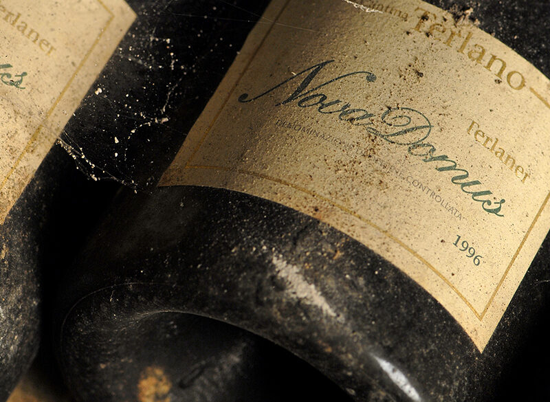 Cantina Terlano: l’evoluzione dei grandi bianchi attraverso le annate