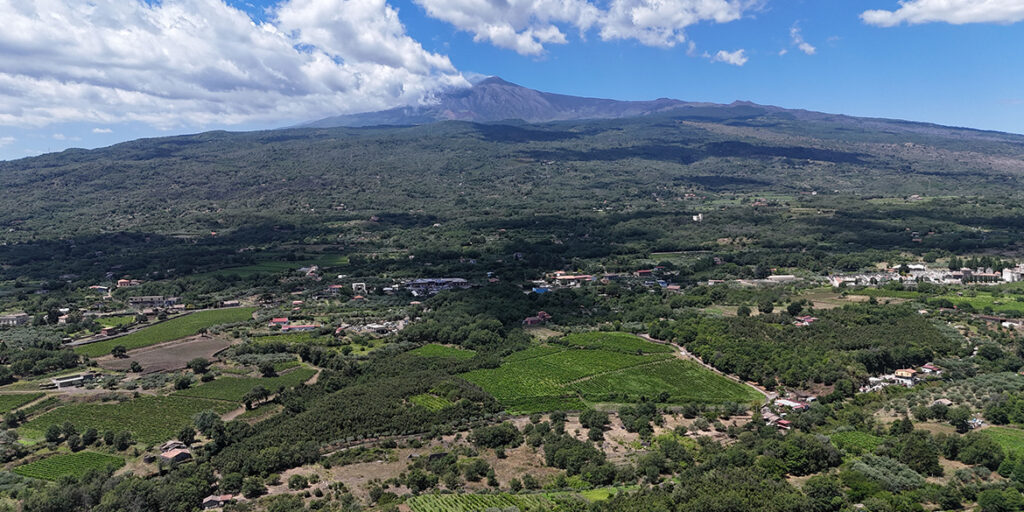 Sull’Etna bianchi sempre migliori. Qualche incertezza sui rossi