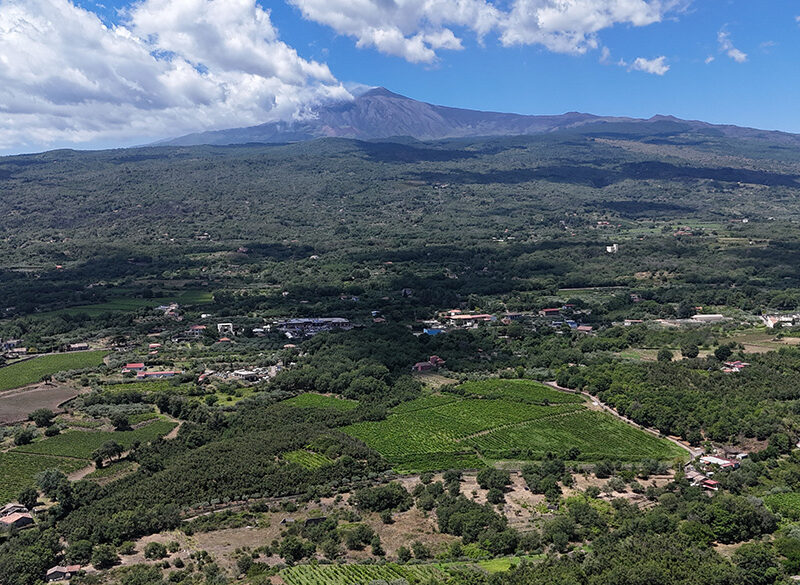 Sull’Etna bianchi sempre migliori. Qualche incertezza sui rossi