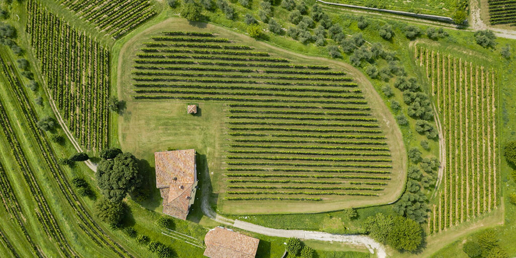 Erbamat e Franciacorta: a che punto siamo?