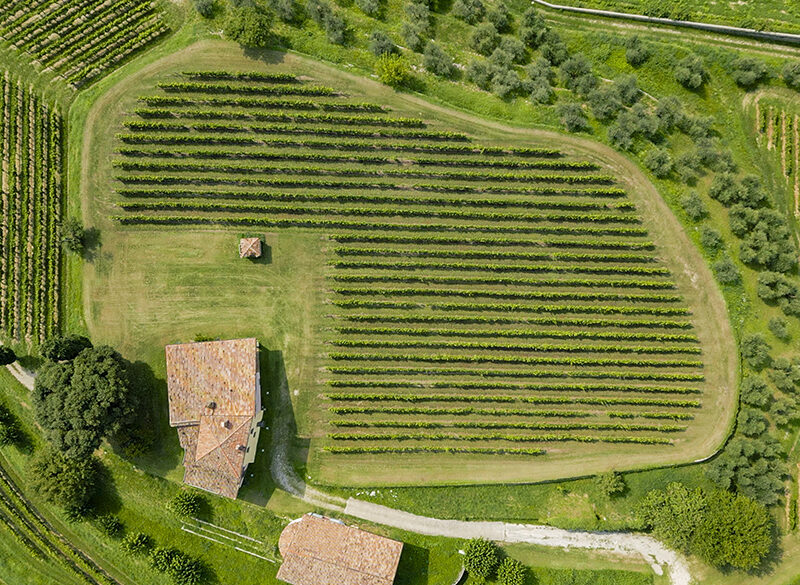 Erbamat e Franciacorta: a che punto siamo?