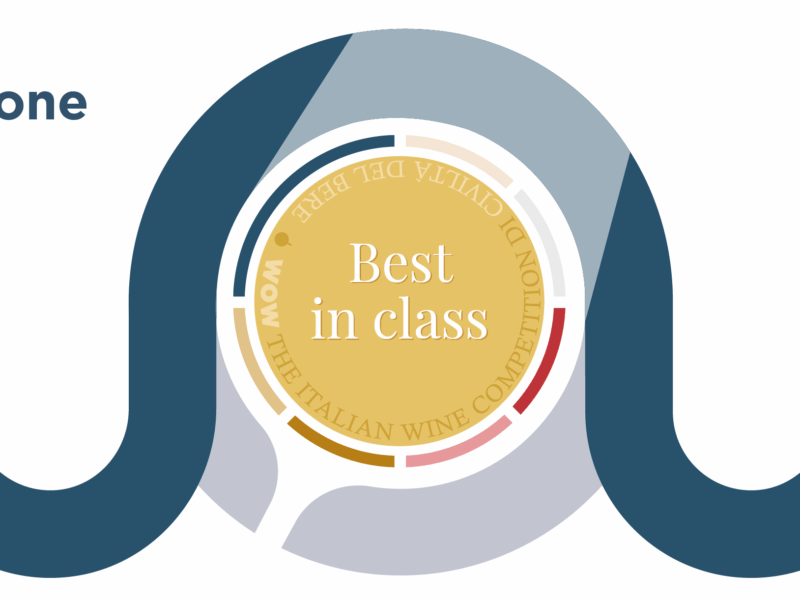 WOW! The Italian Wine Competition 2025: i 9 Best in Class
