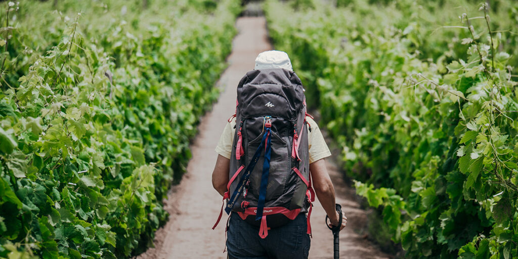 Camminiamo a piede franco sui sentieri del Carignano