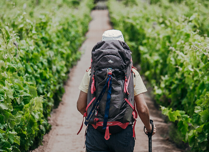 Camminiamo a piede franco sui sentieri del Carignano