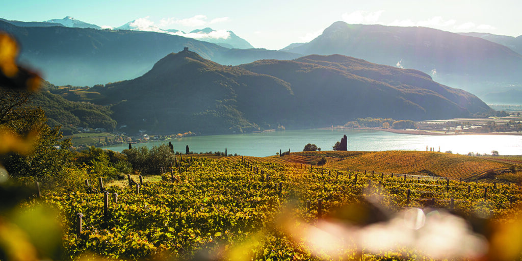 La Doc Lago di Caldaro vuole definire la sua identità
