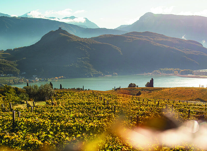 La Doc Lago di Caldaro vuole definire la sua identità