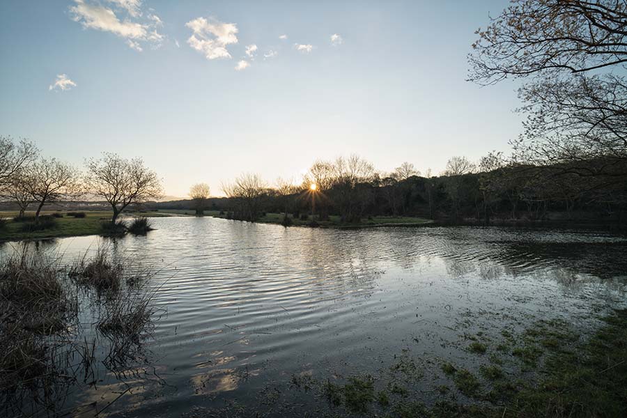 tenuta San Guido Rifugio