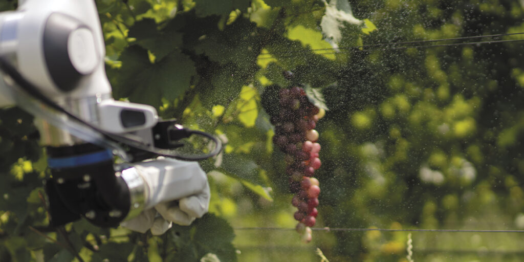 Robot in vigna crescono. Una panoramica aggiornata